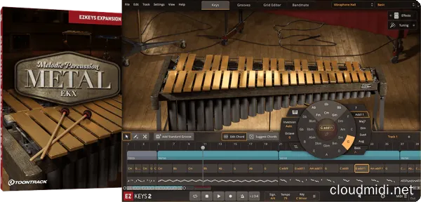 旋律打击乐音色库-Toontrack Melodic Percussion Metal EKX v1.0.0 :-1 旋律打击乐音色库-Toontrack Melodic Percussion Metal EKX v1.0.0 :-1