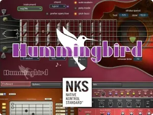 蜂鸟木吉他音色库-Prominy Hummingbird v1.26 Kontakt