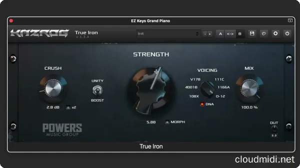 Kazrog True Iron v1.4.2 MacOS :-1