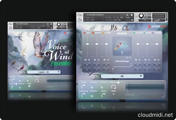 Soundiron Voices of Wind Collection Kontakt :-1 Soundiron Voices of Wind Collection Kontakt :-1