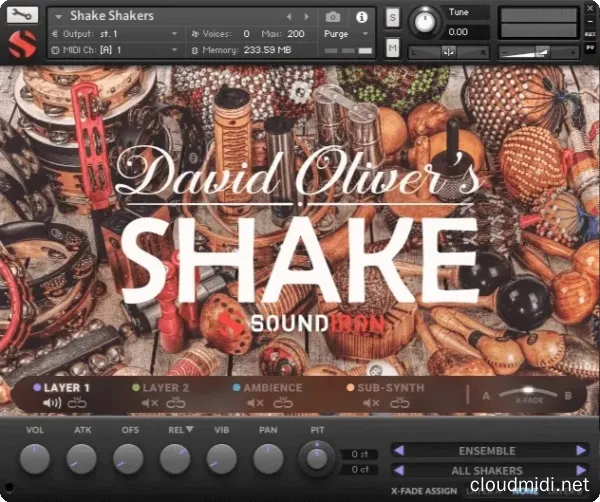 Soundiron Shake Kontakt :-1