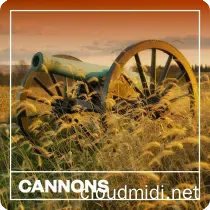 Blastwave FX Cannons WAV :-1 Blastwave FX Cannons WAV :-1