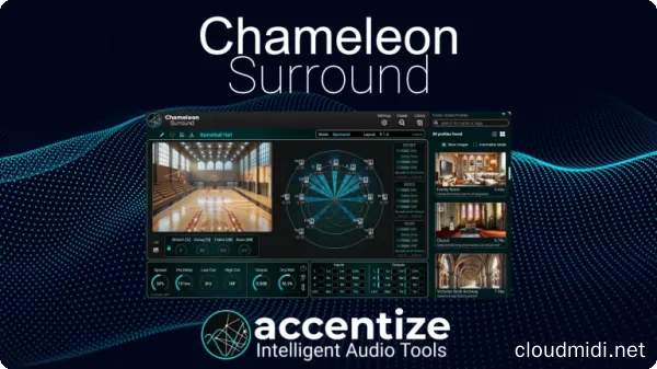 Accentize Chameleon Surround v1.0.2 R2R-win :-1