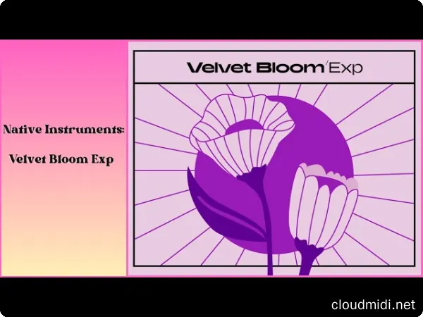 Native Instruments Velvet Bloom Maschine Expansion :-1 Native Instruments Velvet Bloom Maschine Expansion :-1