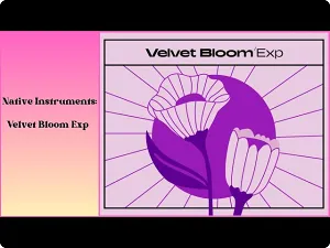 拓展音色包-Native Instruments Velvet Bloom Maschine Expansion