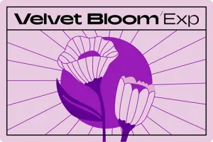 拓展音源包-Native Instruments Velvet Bloom MPC Expansion WAV XPN XPM
