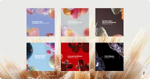 6套新拓展合集-Native Instruments 6 Massive X Expansion v2025.8