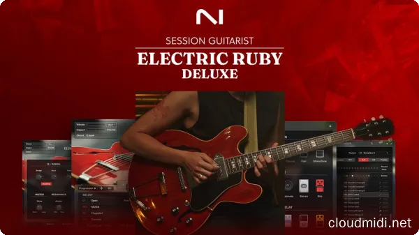 Session Guitarist Electric Ruby Deluxe v1.0.0 Kontakt :-1 Session Guitarist Electric Ruby Deluxe v1.0.0 Kontakt :-1