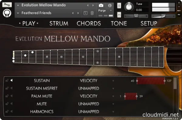 Orange Tree Samples Evolution Mellow Mando v1.3.0 Kontakt :-1