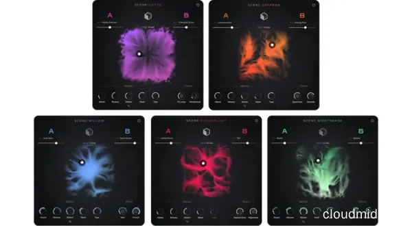Native Instruments Scene Series Kontakt :-1