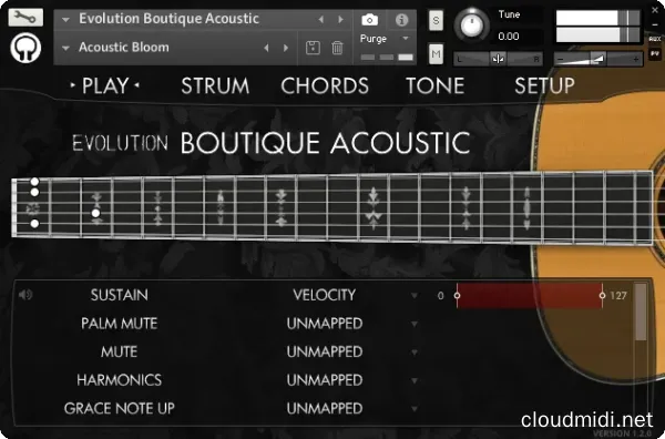 Orange Tree Samples Evolution Boutique Acoustic v1.3.0 Kontakt :-1
